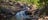 A_woman_dipping_in_a_water_hole_with_waterfall_in_the_background_surrounded_by_trees_and_bushes_in_the_morning.jpg