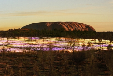 Uluru-FOL